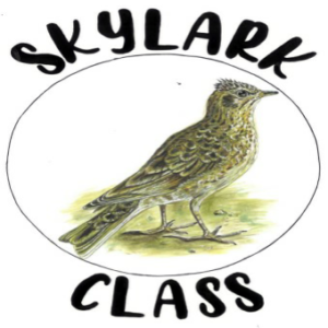 Skylark Class