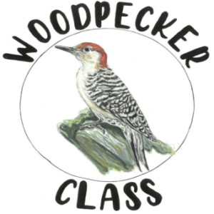 Woodpecker Class