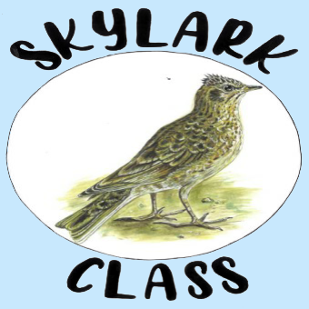 Skylark class logo