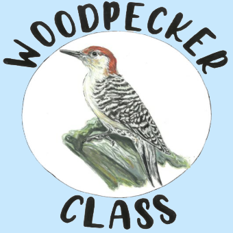 Woodpecker class logo